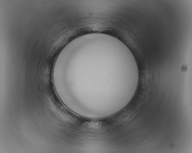 X0000110680639200907021911