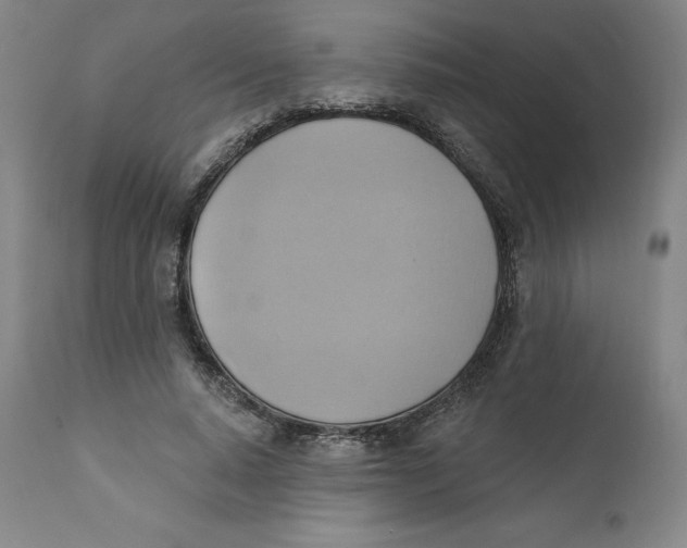 X0000110680640200907021911