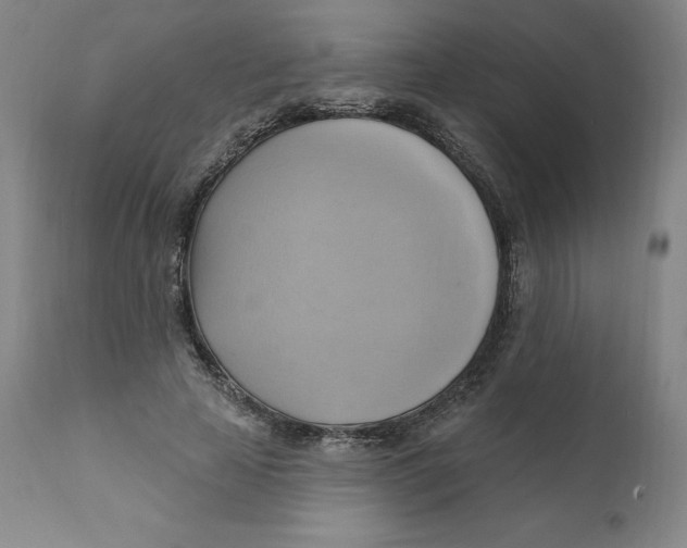 X0000110680641200907021911