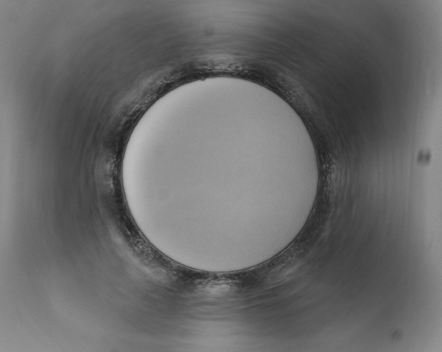 X0000110680643200907021911