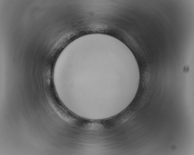 X0000110680644200907021911