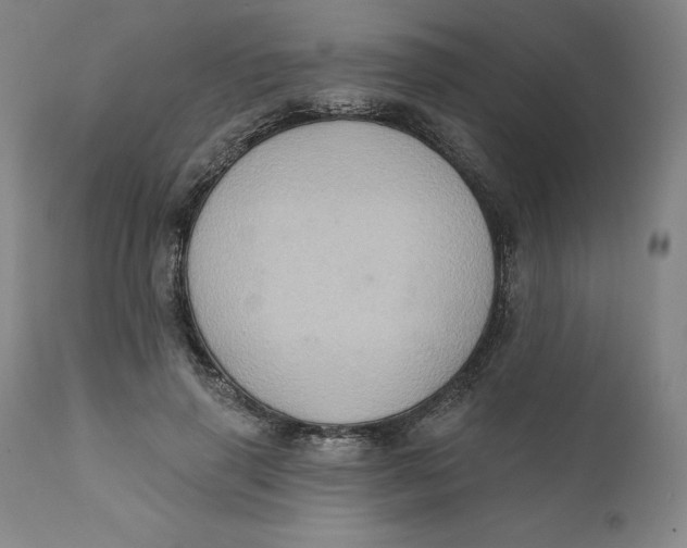 X0000110680645200907021911