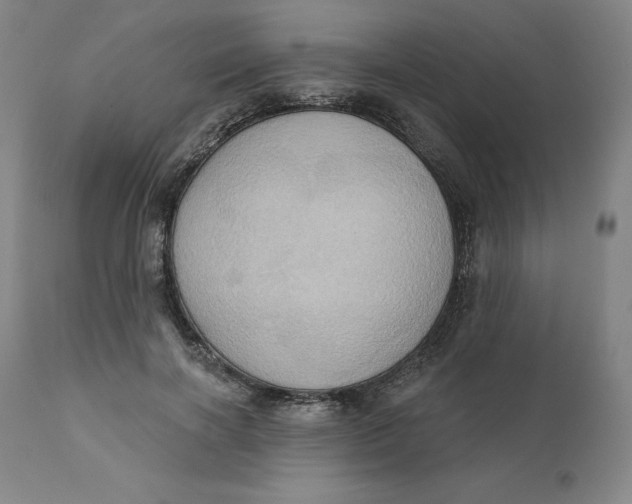 X0000110680646200907021911