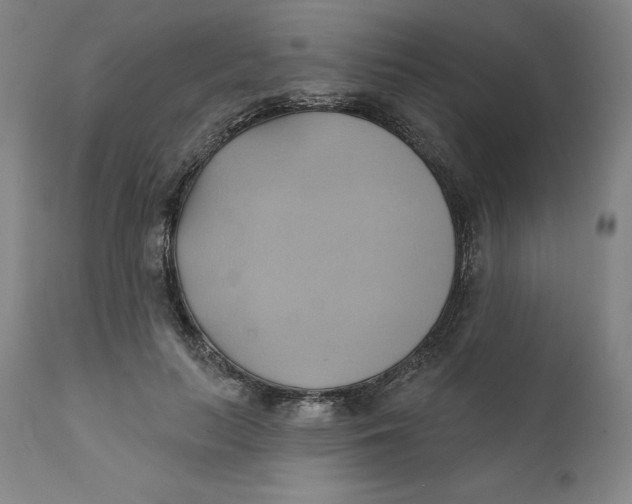 X0000110680647200907021911