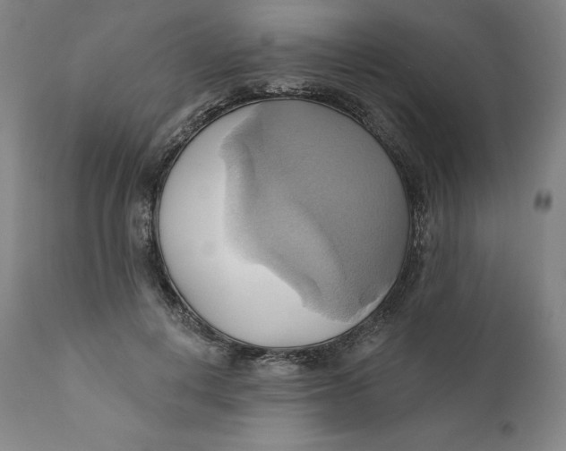 X0000110680648200907021911