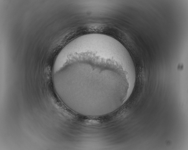 X0000110680649200907021911