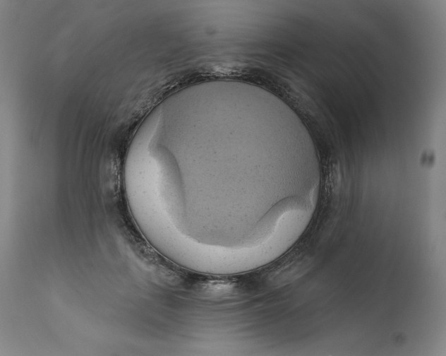 X0000110680651200907021911