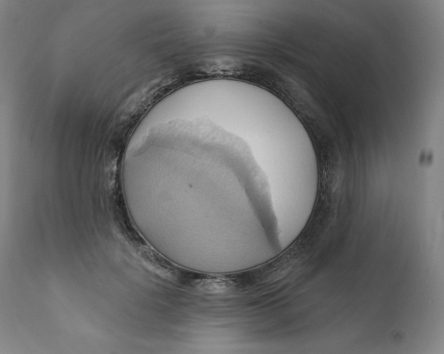 X0000110680652200907021911