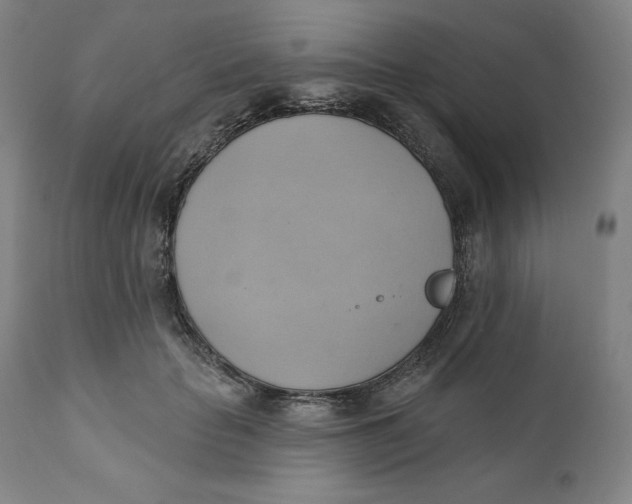 X0000110680653200907021911