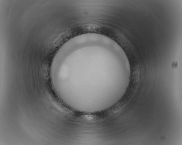 X0000110680654200907021911