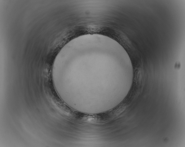 X0000110680655200907021911