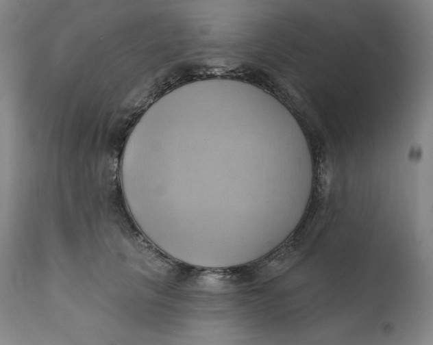 X0000110680657200907021911