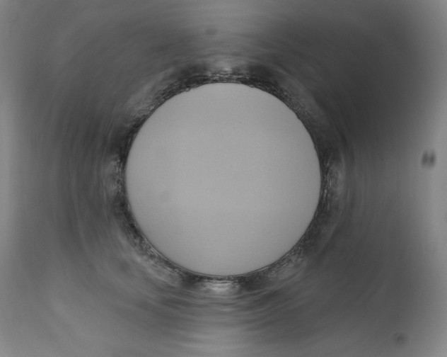 X0000110680659200907021911