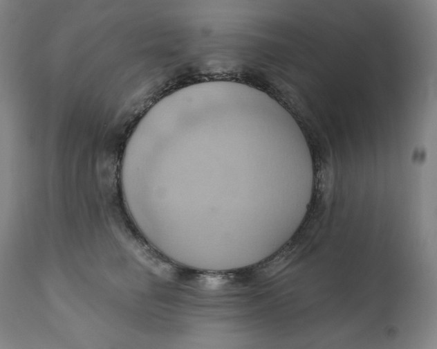 X0000110680662200907021911