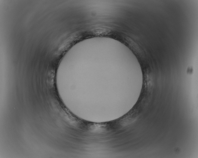 X0000110680664200907021911