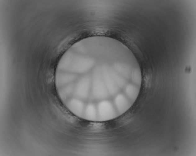 X0000110680665200907021911