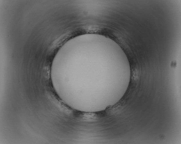 X0000110680666200907021911