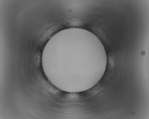 X0000110680668200907021912