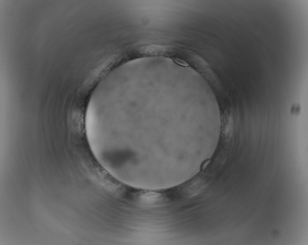 X0000110680669200907021912