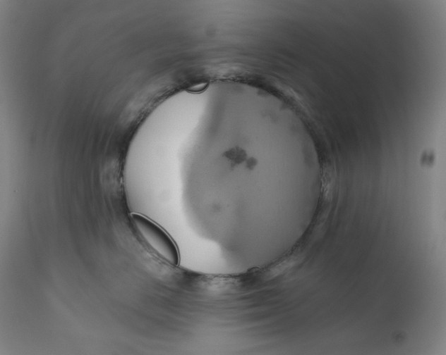 X0000110680670200907021912