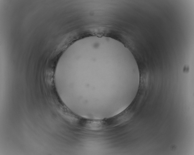 X0000110680671200907021912