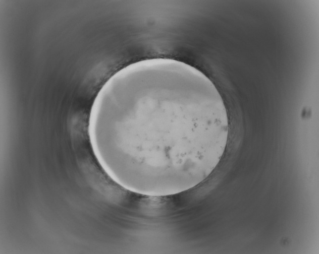 X0000110680672200907021912