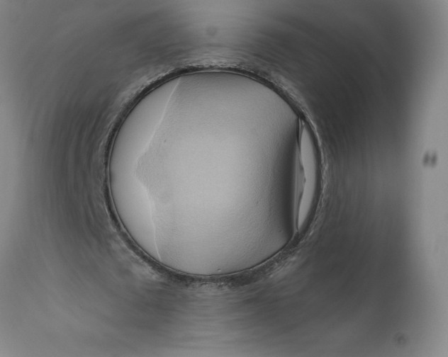 X0000110680673200907021911