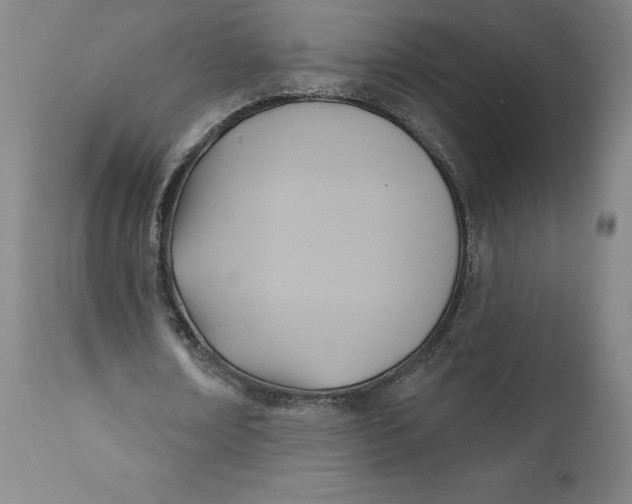 X0000110680674200907021911