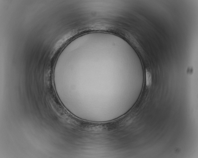 X0000110680675200907021911