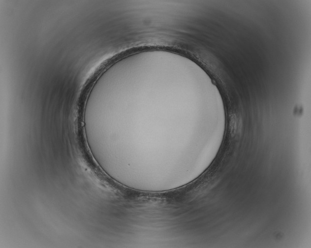 X0000110680676200907021911