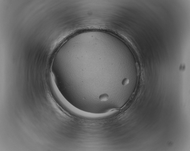 X0000110680677200907021911