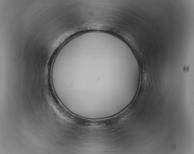 X0000110680678200907021911