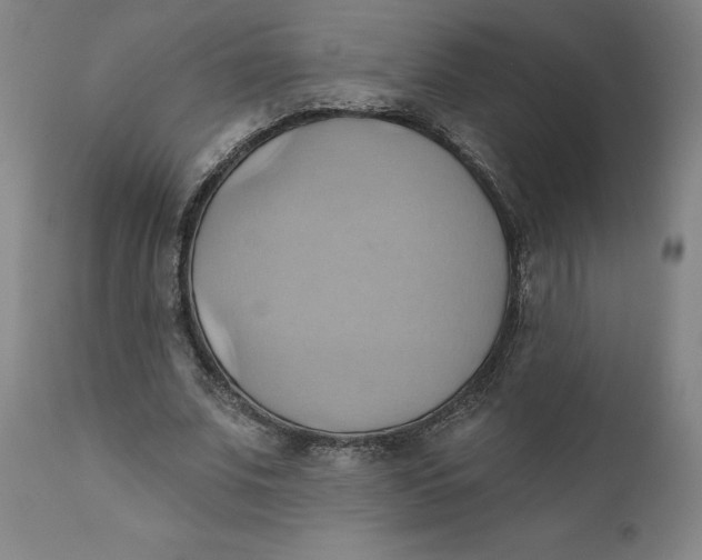 X0000110680679200907021911