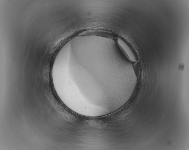 X0000110680681200907021911