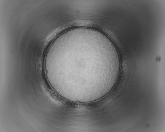 X0000110680682200907021911