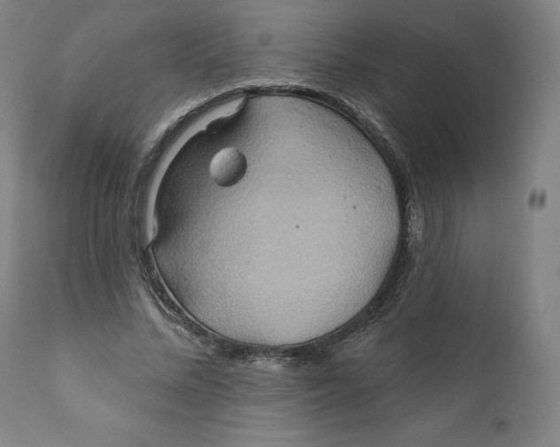 X0000110680684200907021911