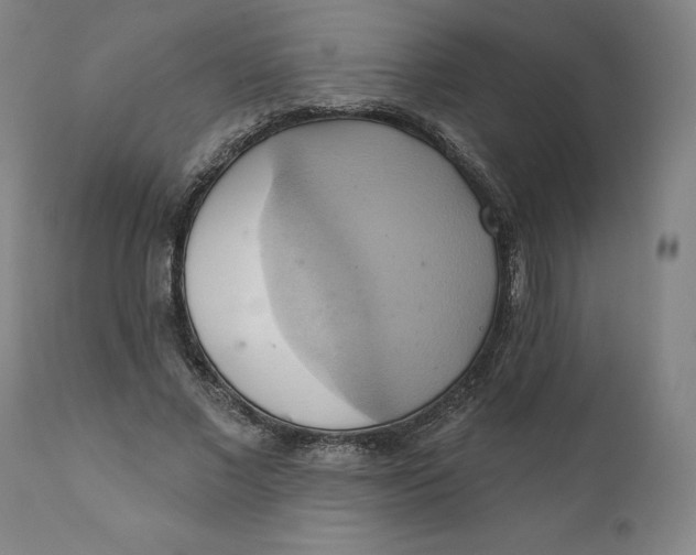 X0000110680685200907021911