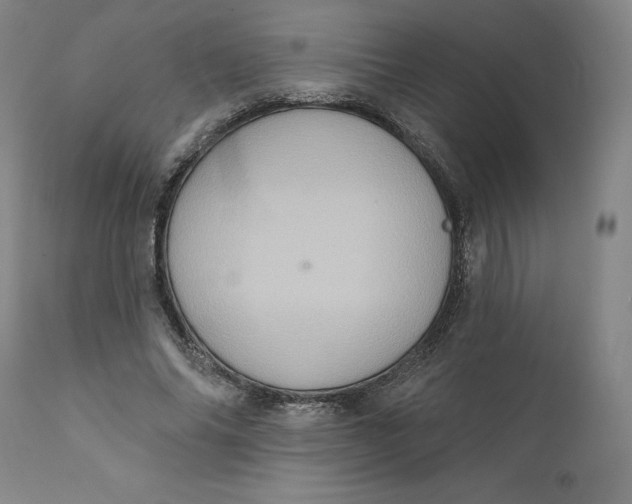 X0000110680686200907021911