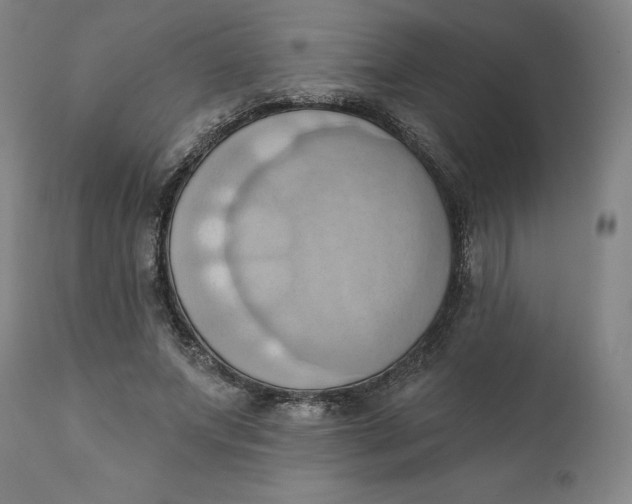 X0000110680687200907021911