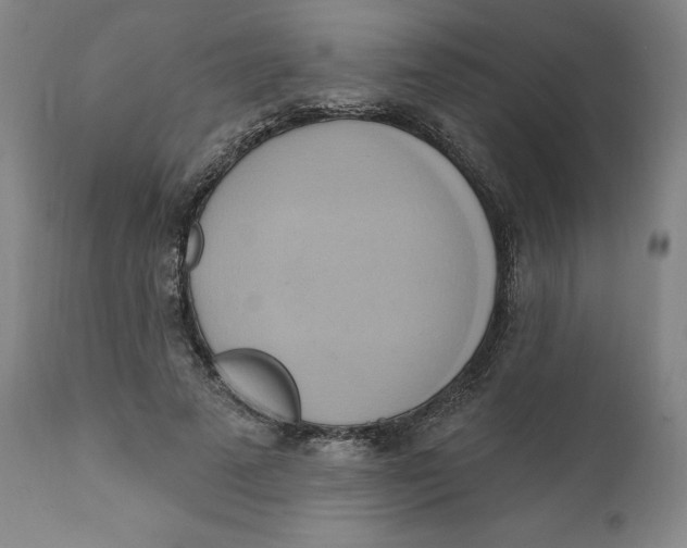 X0000110680689200907021911