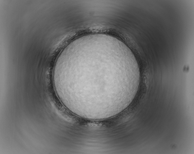 X0000110680690200907021911