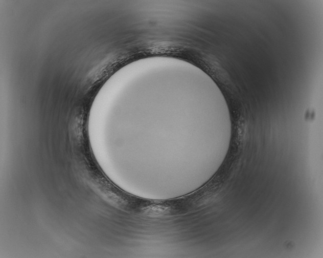 X0000110680691200907021911