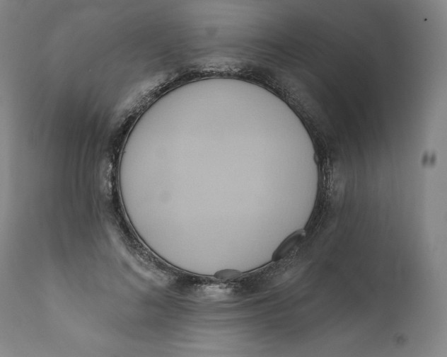 X0000110680692200907021911