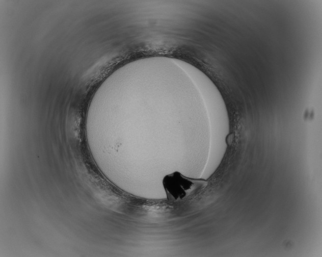 X0000110680693200907021911