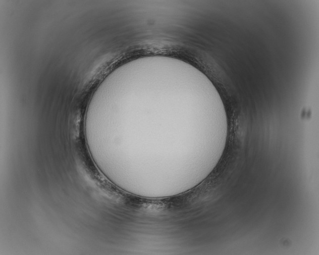 X0000110680694200907021911