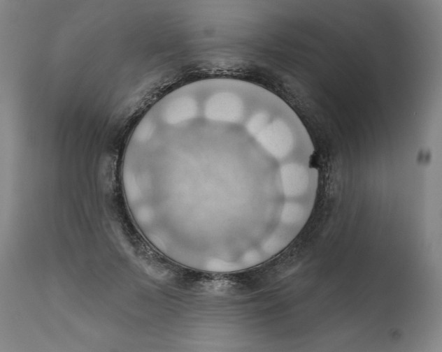 X0000110680695200907021911