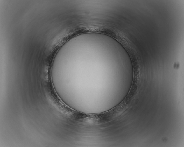 X0000110680696200907021911