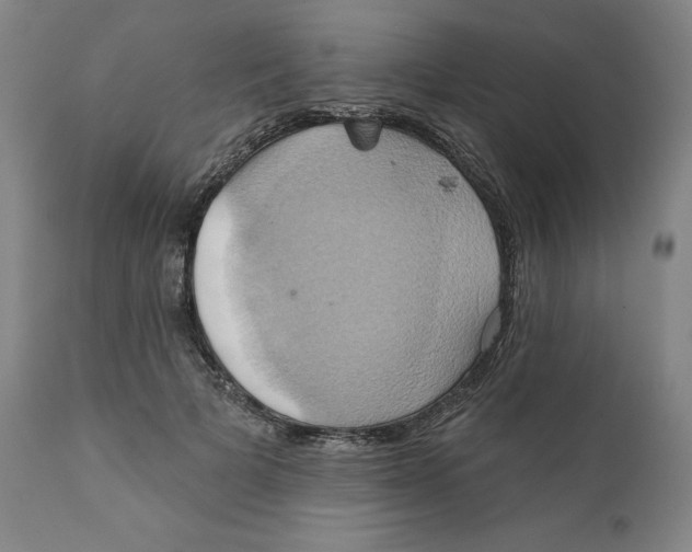 X0000110680697200907021911