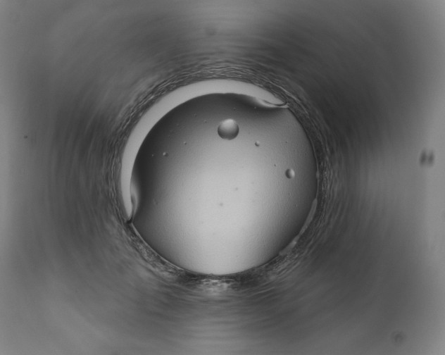 X0000110680701200907021911