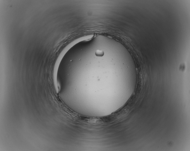 X0000110680705200907021910